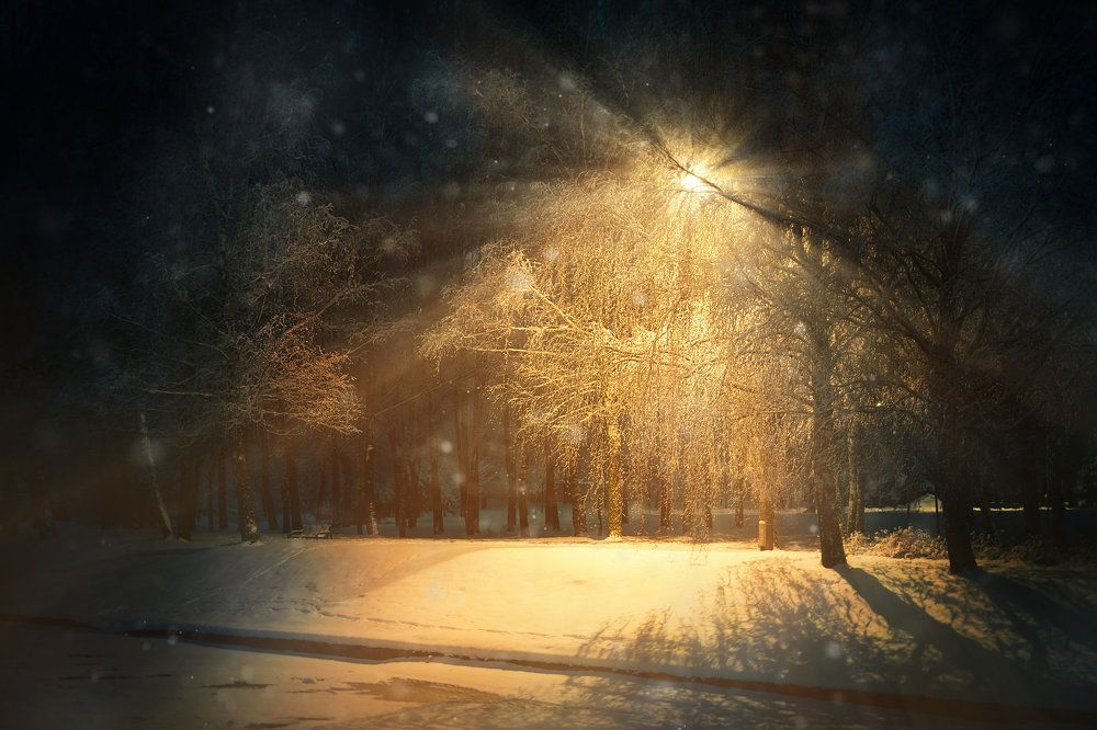 Photograph by Дмитрий