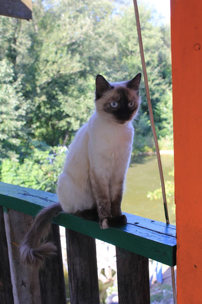 Photograph by Владимир