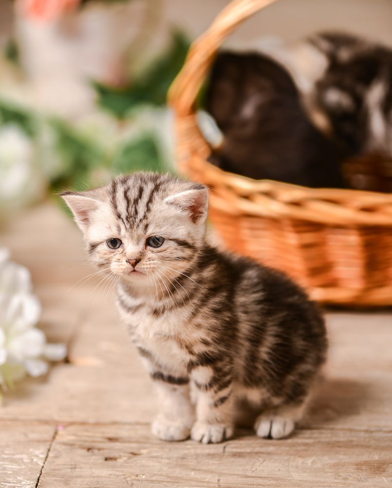 Photograph by Мария Луцук