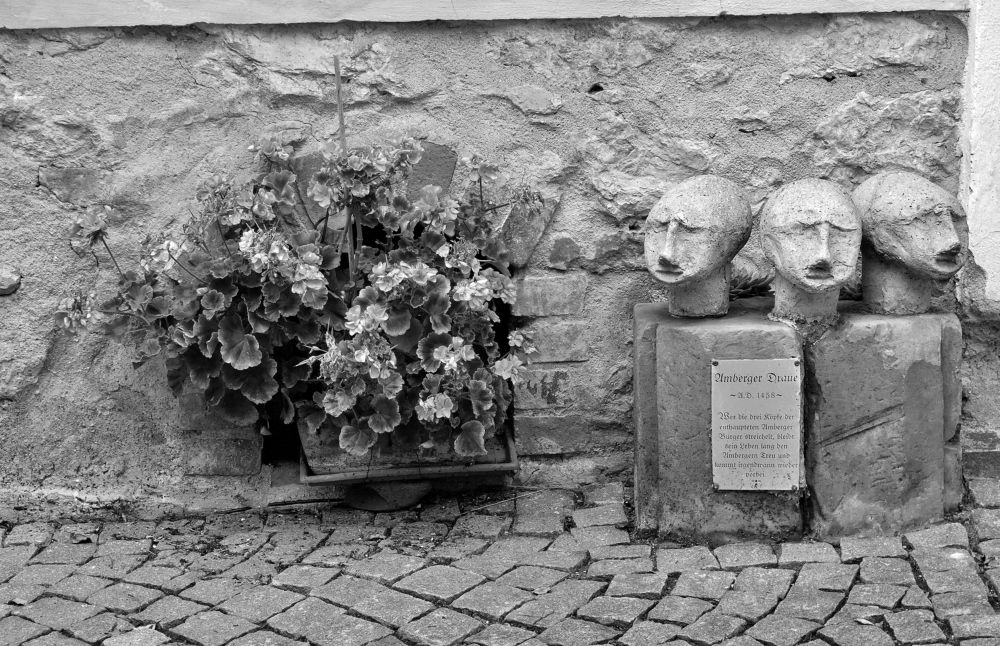 Photograph by backareva irina