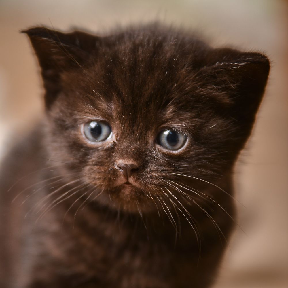 Photograph by Мария Луцук