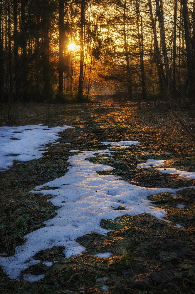 Фотография автора Yakovlev Artur