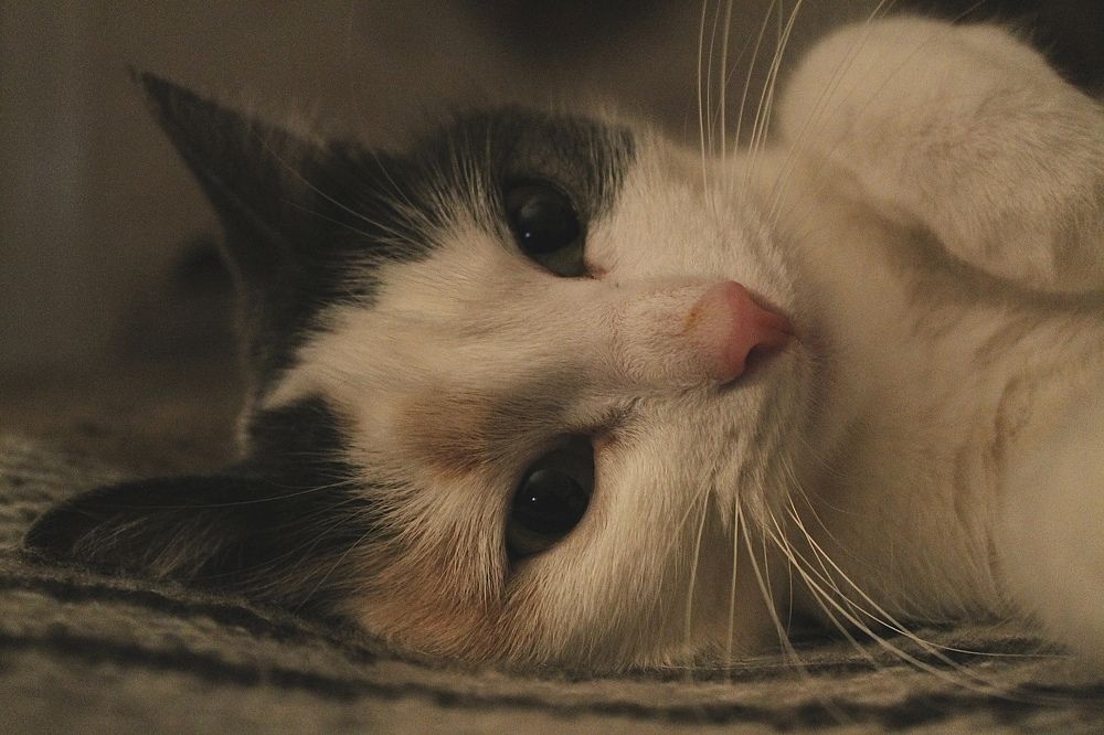 Photograph by Артем Порубаев