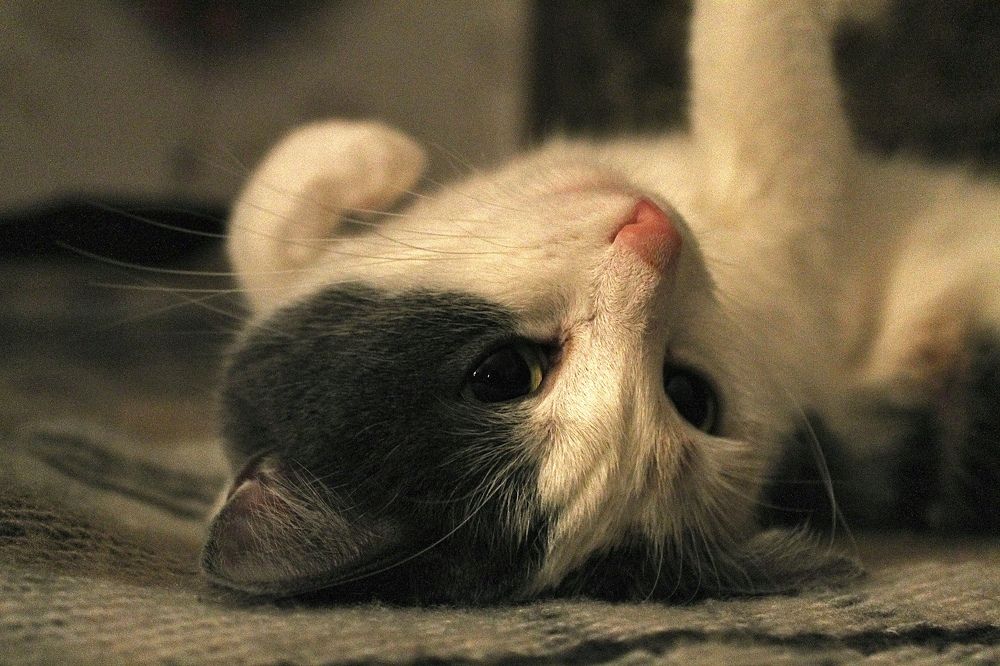 Photograph by Артем Порубаев