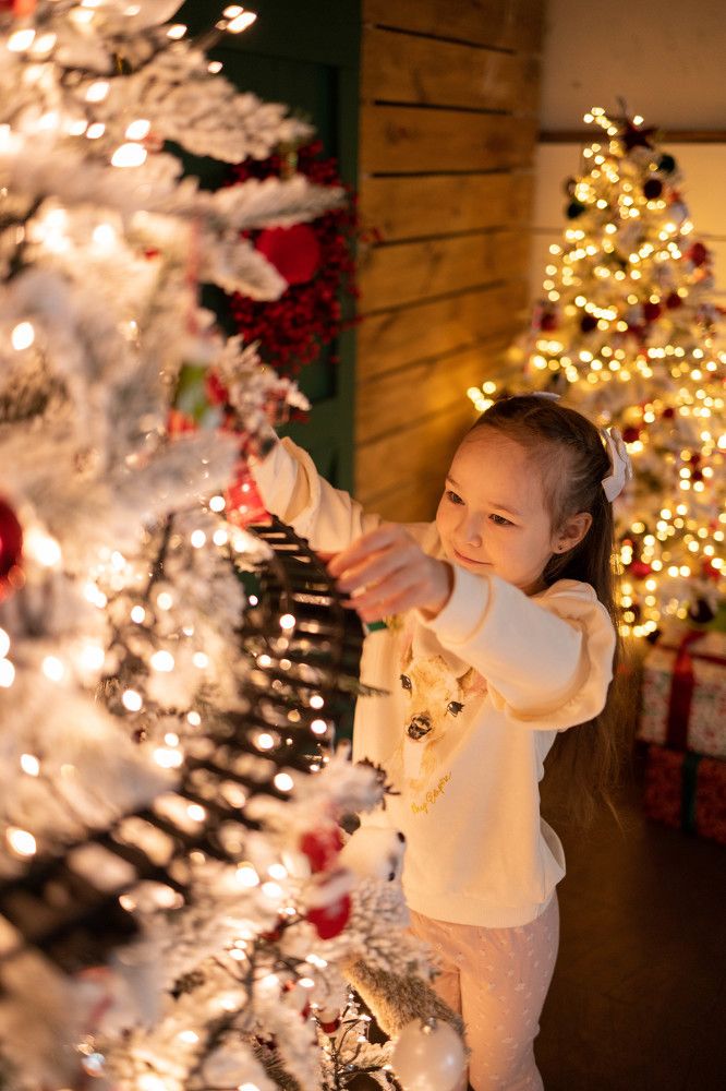 Фотография автора Анна Хейфиц