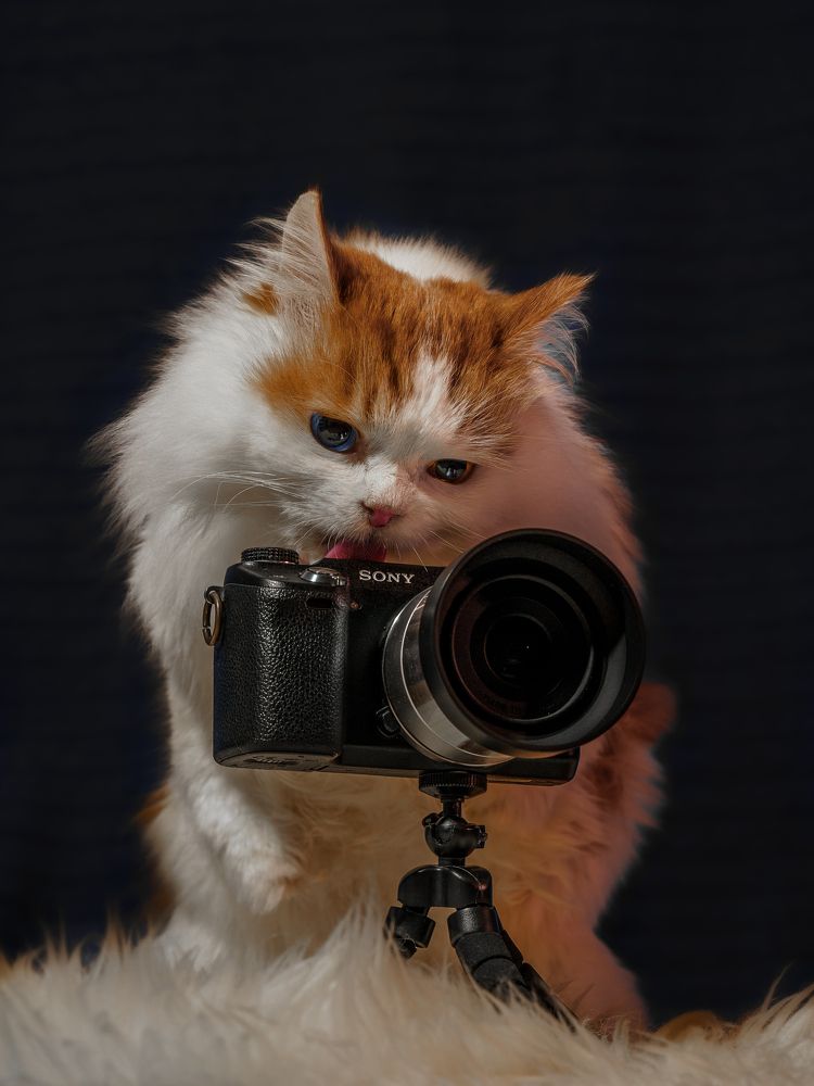 Страсть к фотоаппаратам