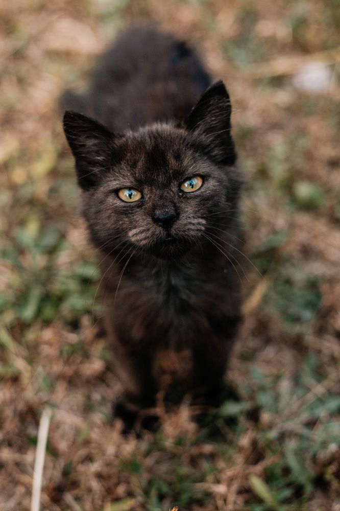 Photograph by Ksenia Mint