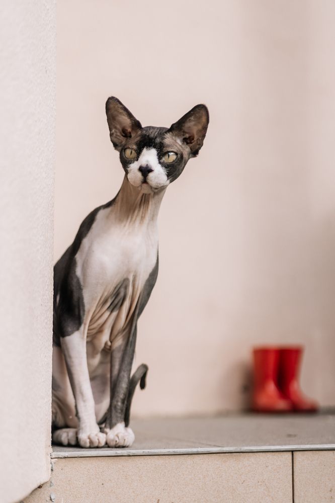 Photograph by Ksenia Mint