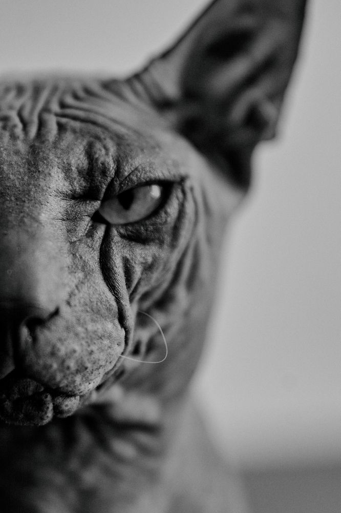 Фотография автора Екатерина Мишкель