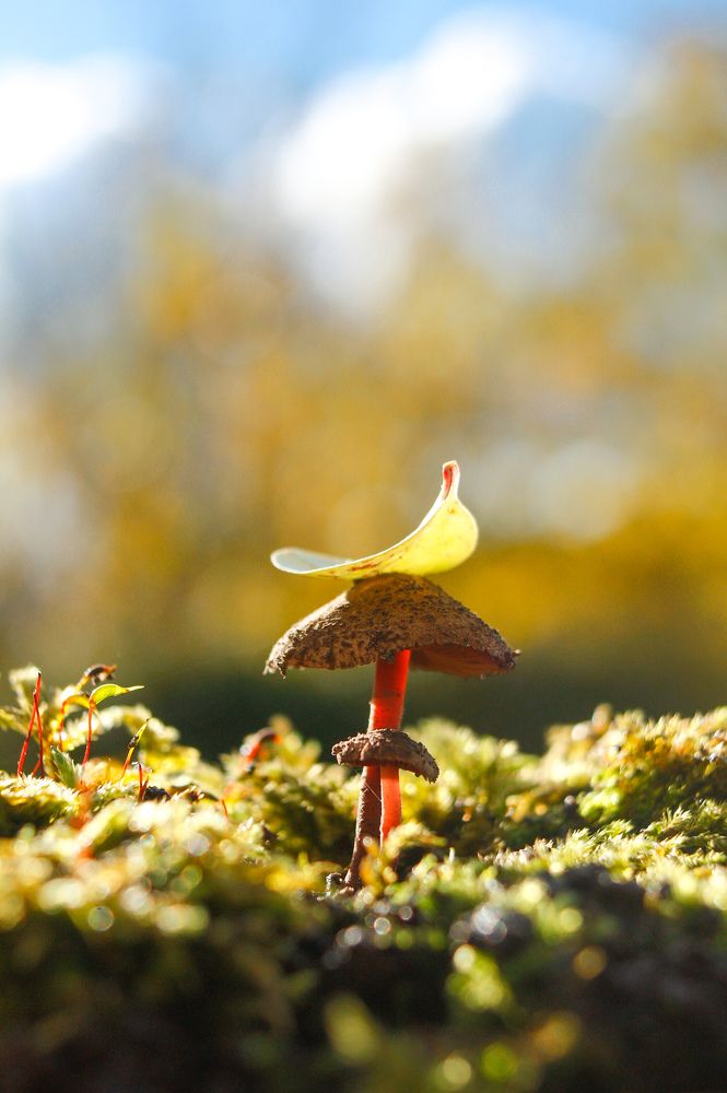 Photograph by Alena Rybakova