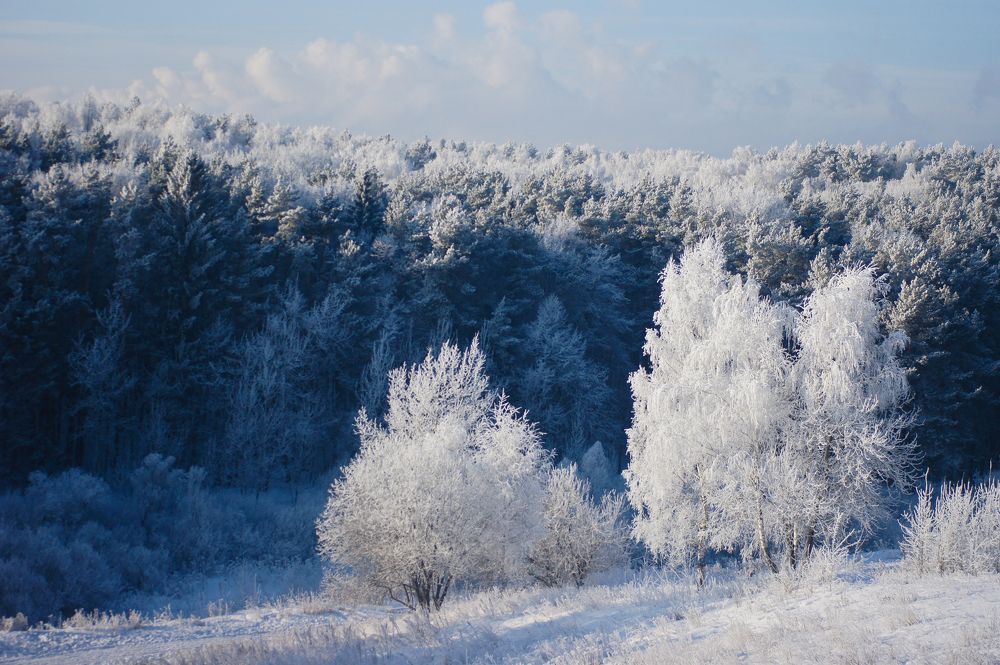 Photograph by Екатерина Яковлевская