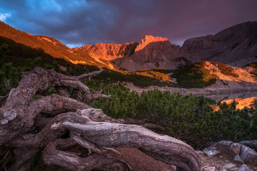 Фотография автора Mariyana Atanasova - Lucero