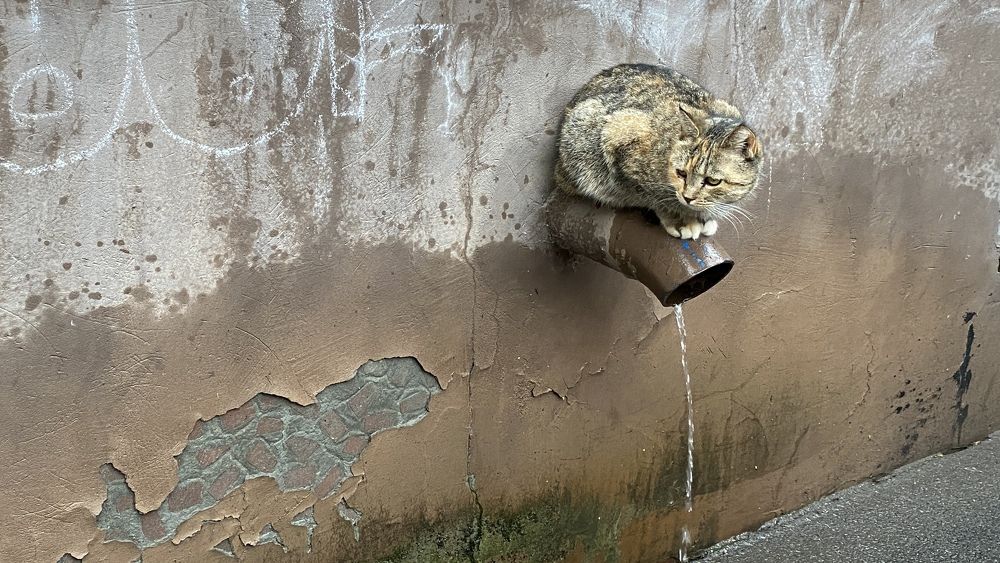 Photograph by Сергей Смирнов