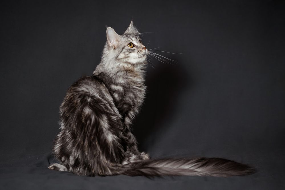 Photograph by Dasha Zueva