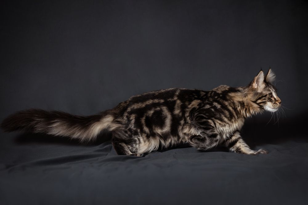 Photograph by Dasha Zueva