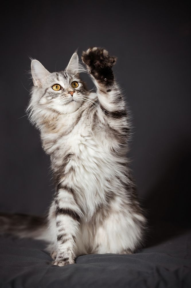 Photograph by Dasha Zueva