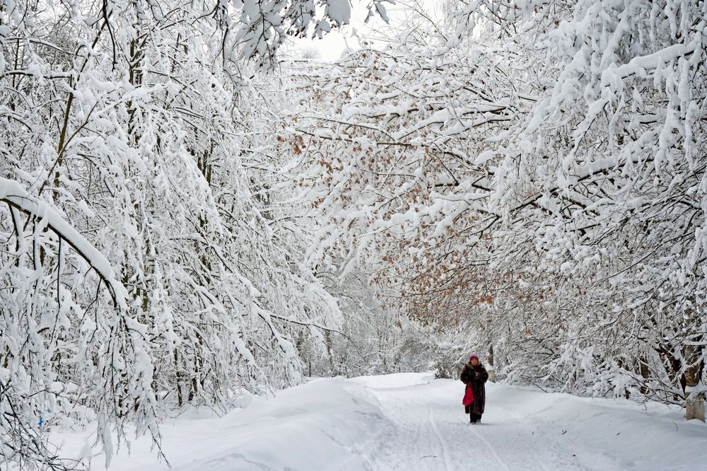 Photograph by Сергей Духанин