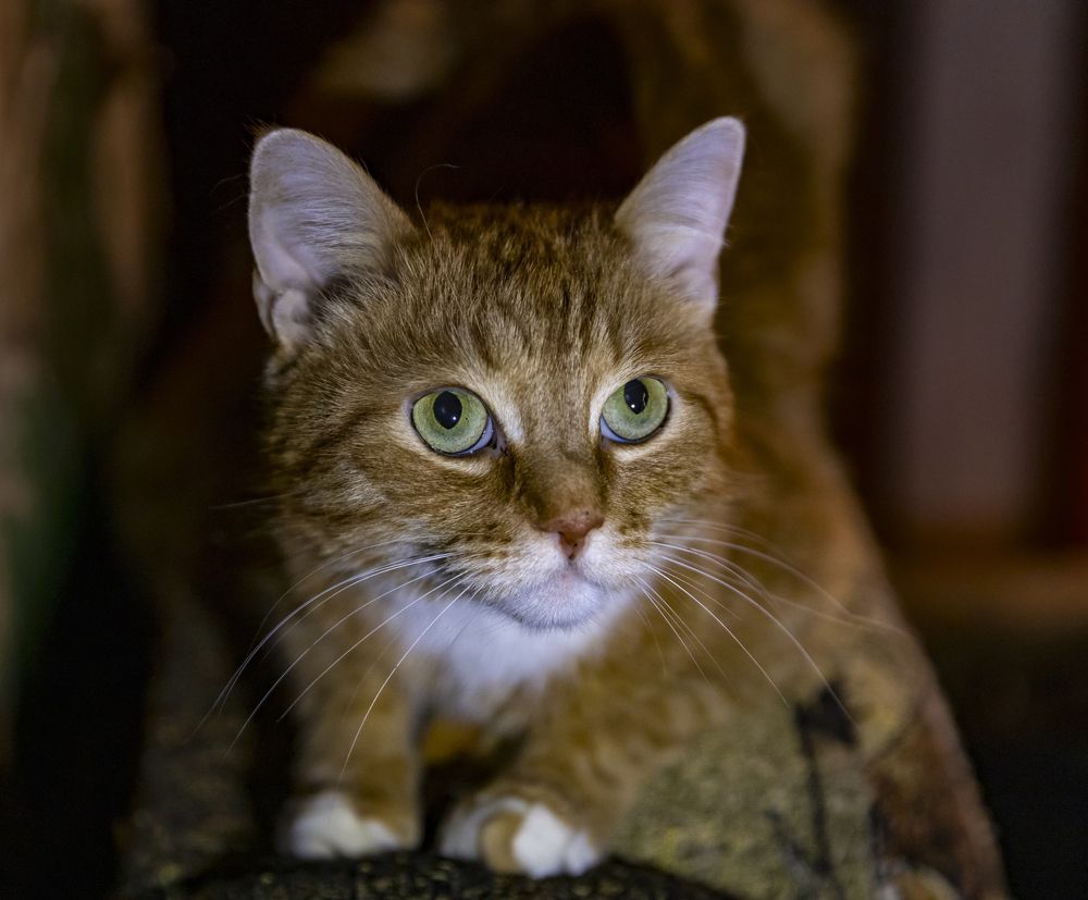 Photograph by Анастасия Малахова