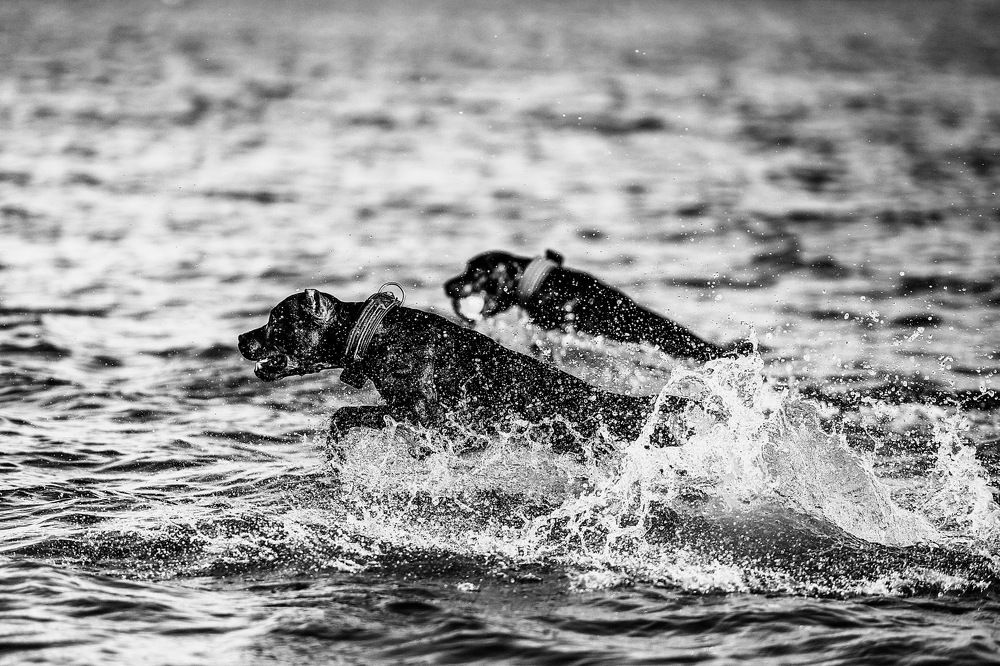 Photograph by Olga Nebelskaya