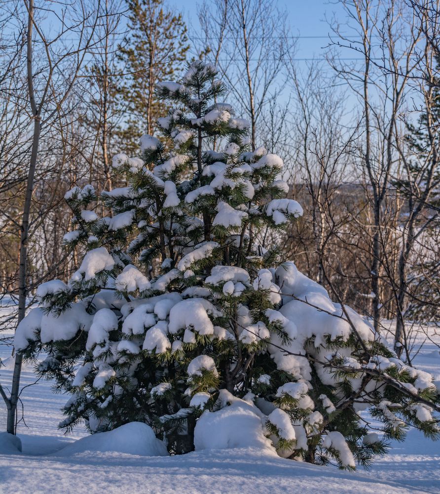 Photograph by Олег Редько