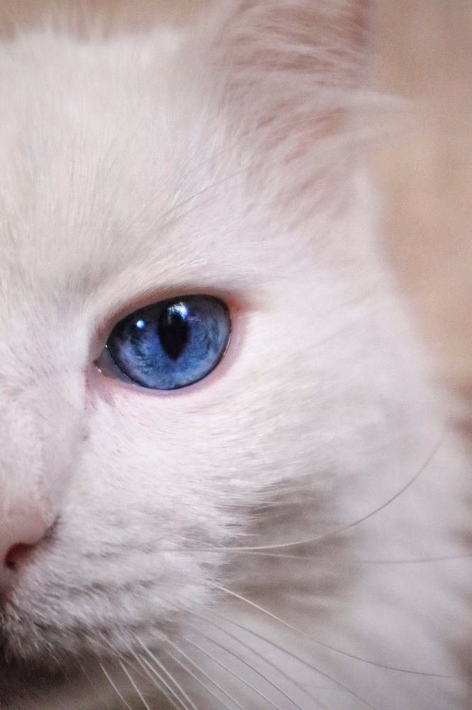 Photograph by Людмила Евстратова