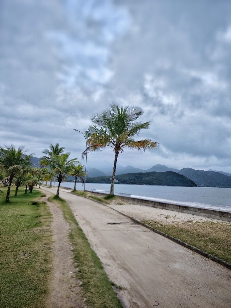 Photograph by Joao R Cortez