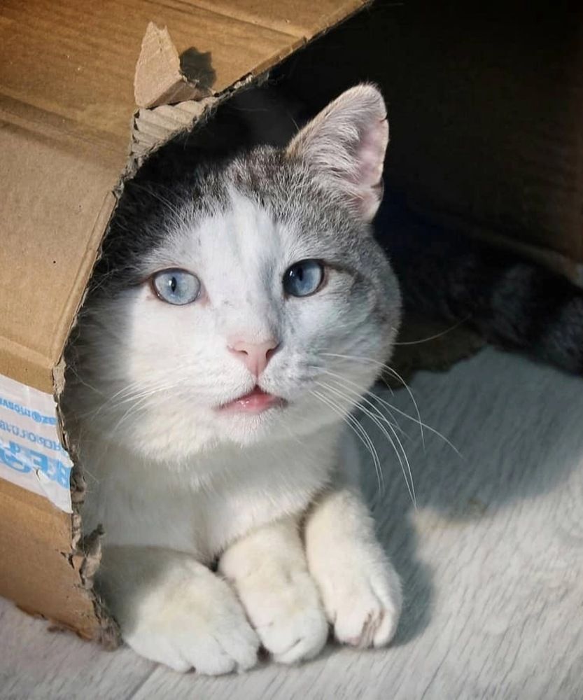 Photograph by Алсу Хусаинова