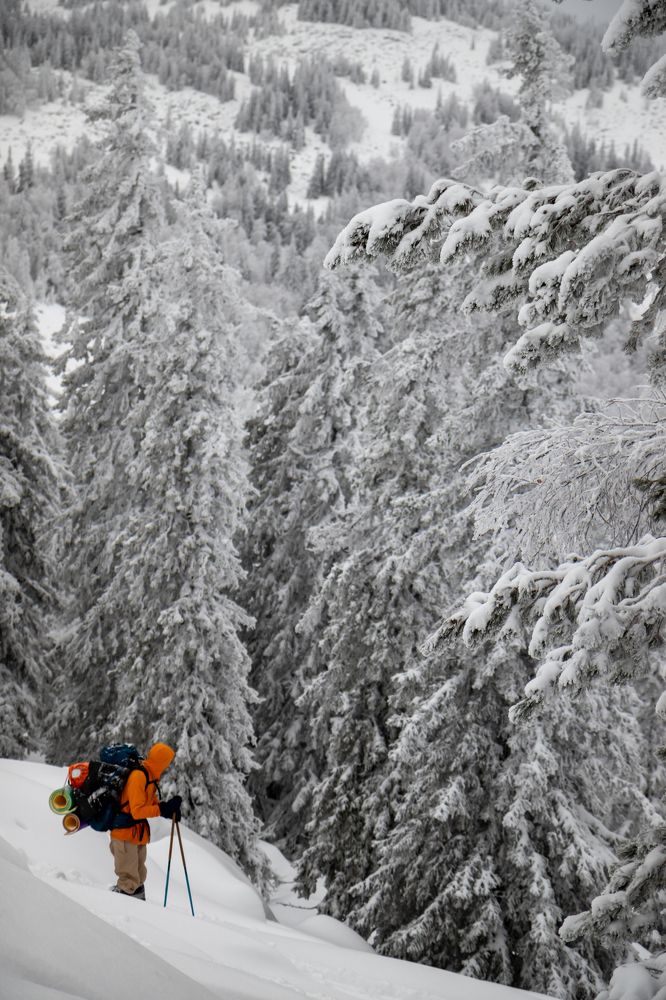Фотография автора Анастасия Тараканова