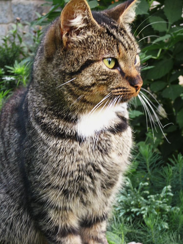 Photograph by Наталья Кеворкова