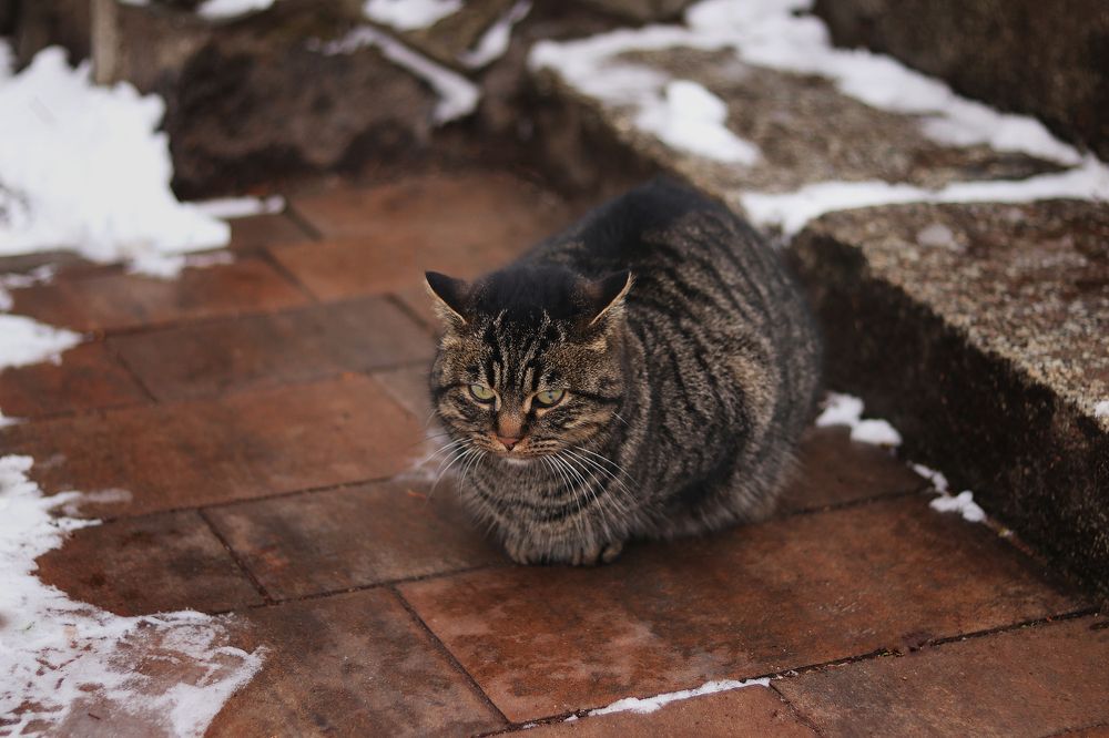 Photograph by Наталья Кеворкова