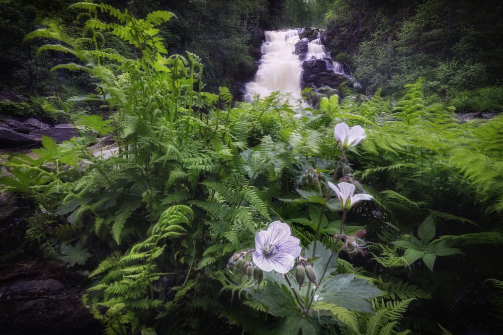 Photograph by ОЛЬГА КОВАЛЁВА