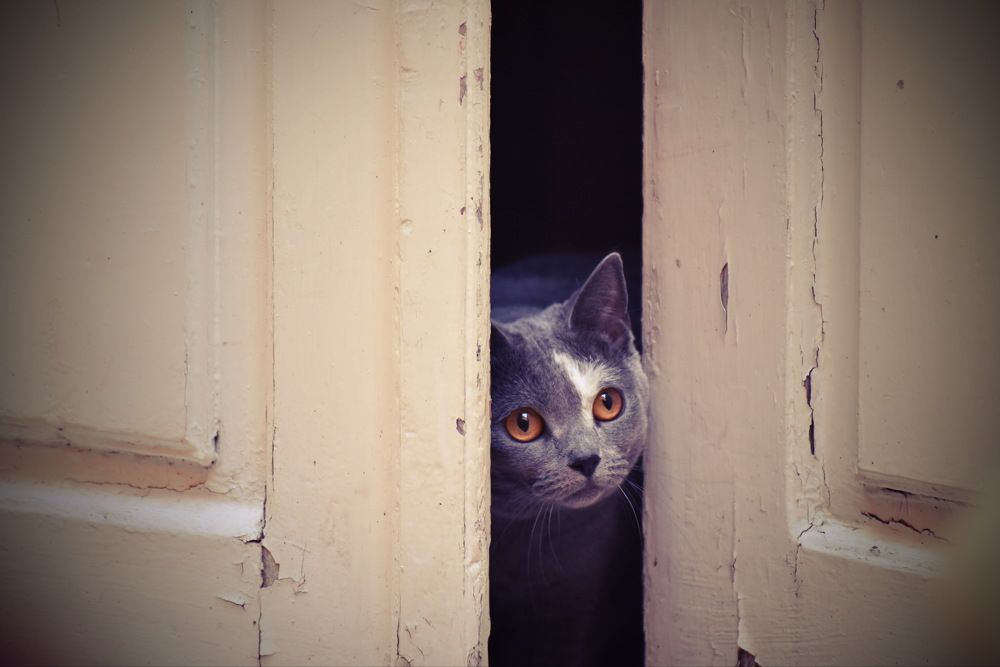 Photograph by Anna Zelinskaya