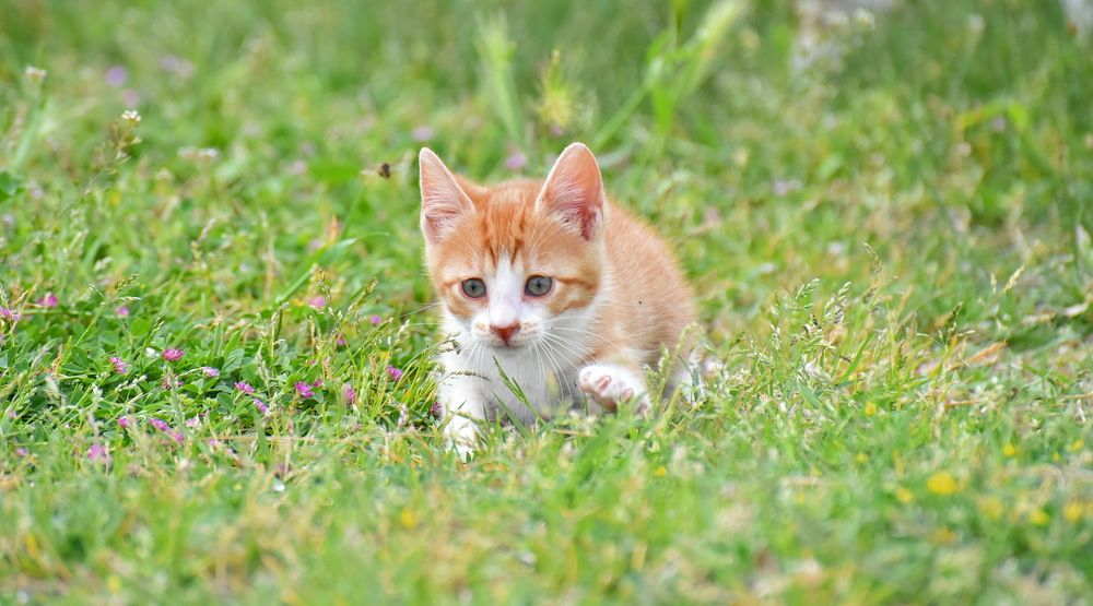 Photograph by Anna Zelinskaya