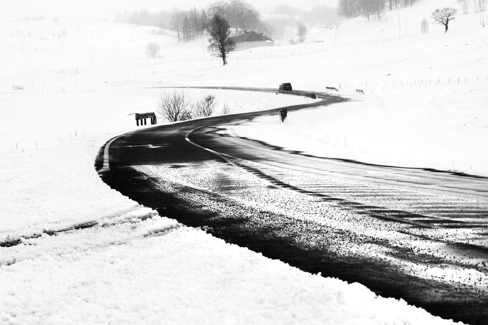 Photograph by Ivan Stojanovic