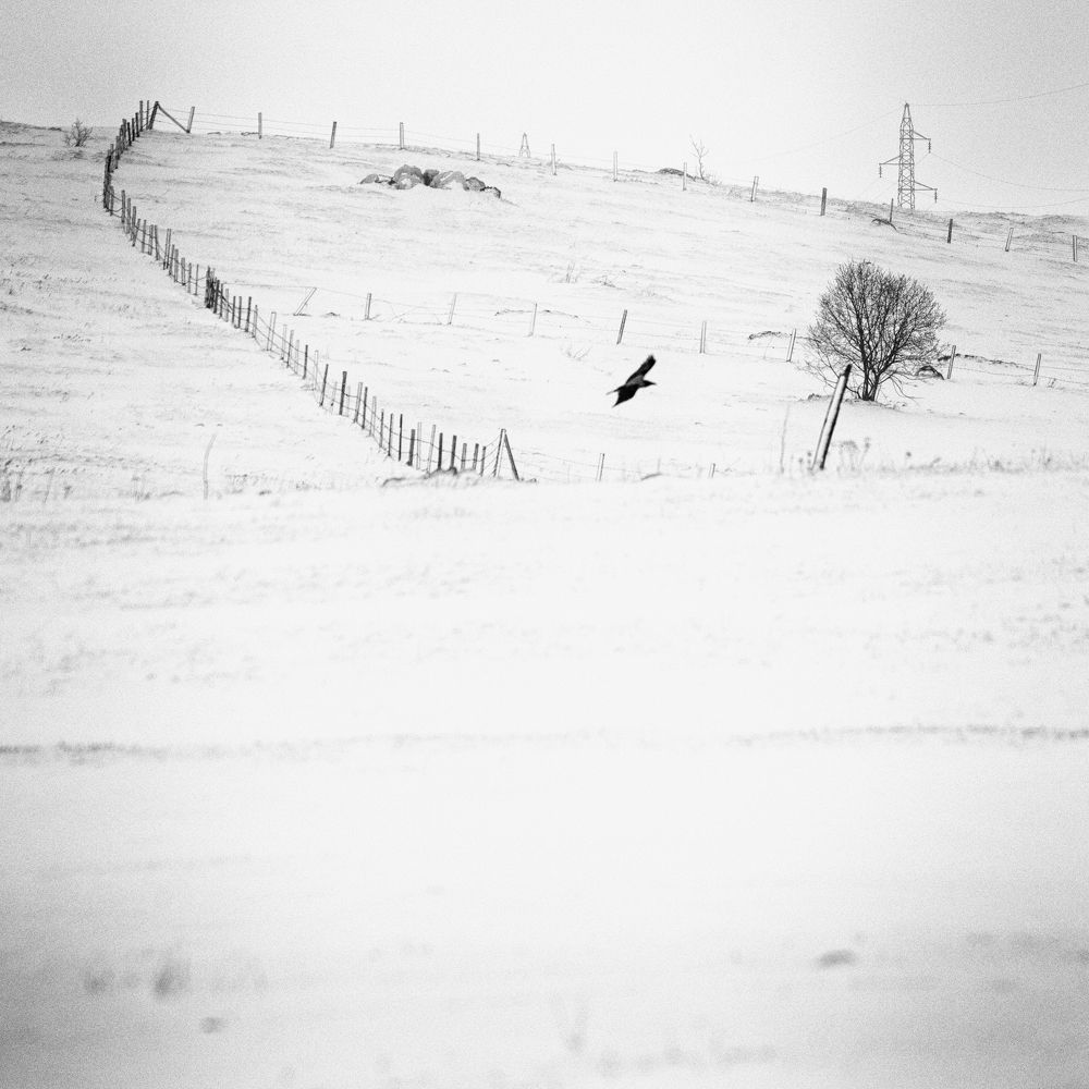 Photograph by Ivan Stojanovic