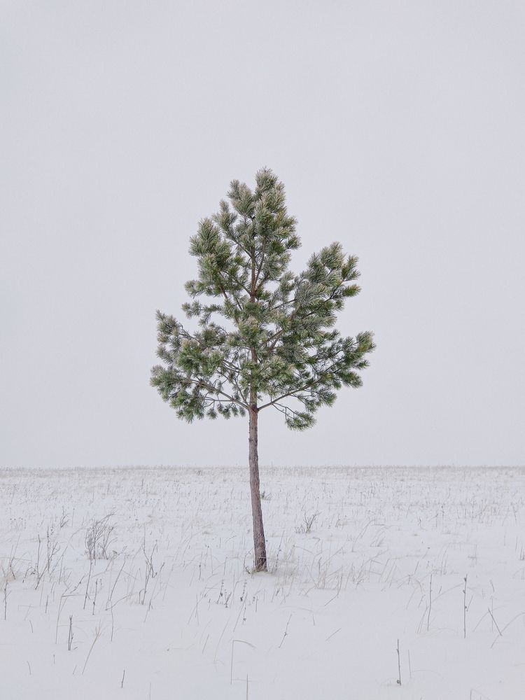 Photograph by Андрей Ионов