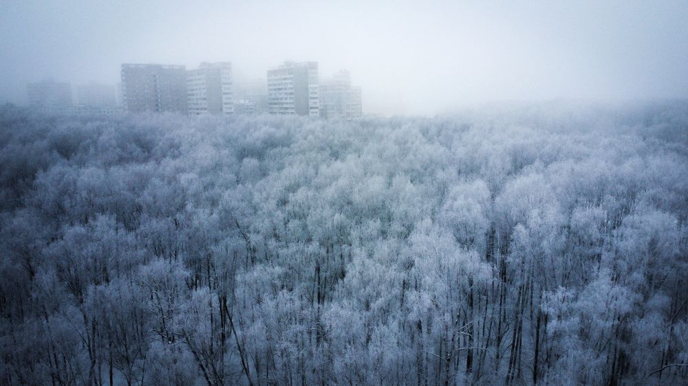 Photograph by Андрей Ионов