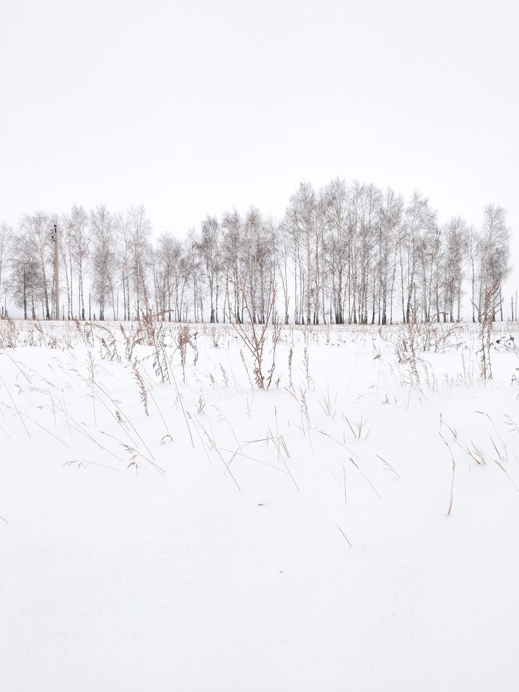 Photograph by Андрей Ионов