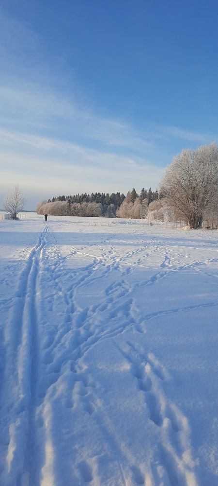 Фотография автора Елена Сергеева