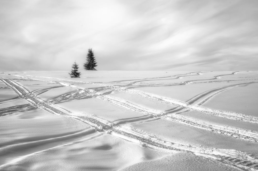 Photograph by Ivanka Iantcheva