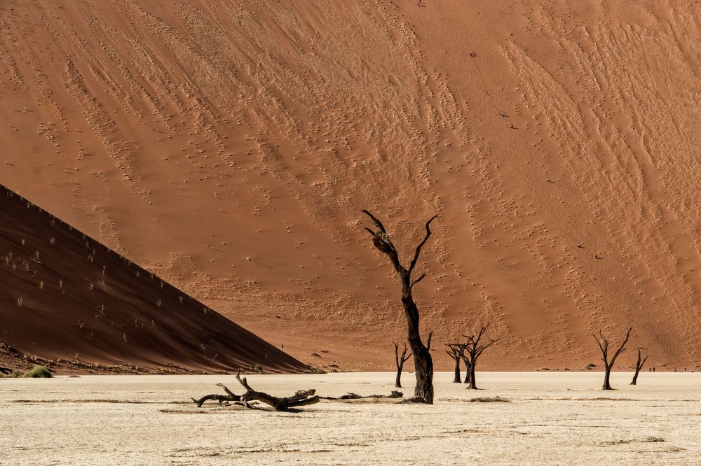 Photograph by Ivanka Iantcheva