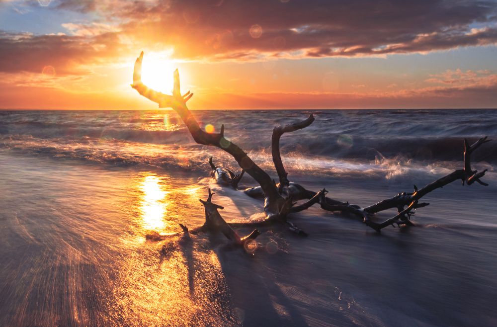 Photograph by Парфентьев Антон