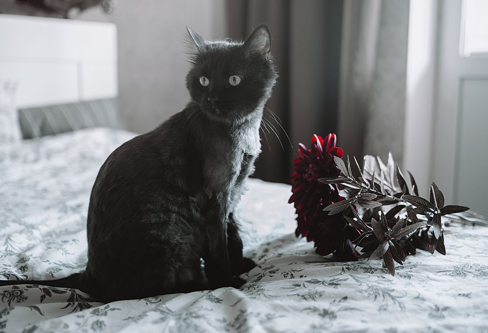 Photograph by Дзюба Нелли