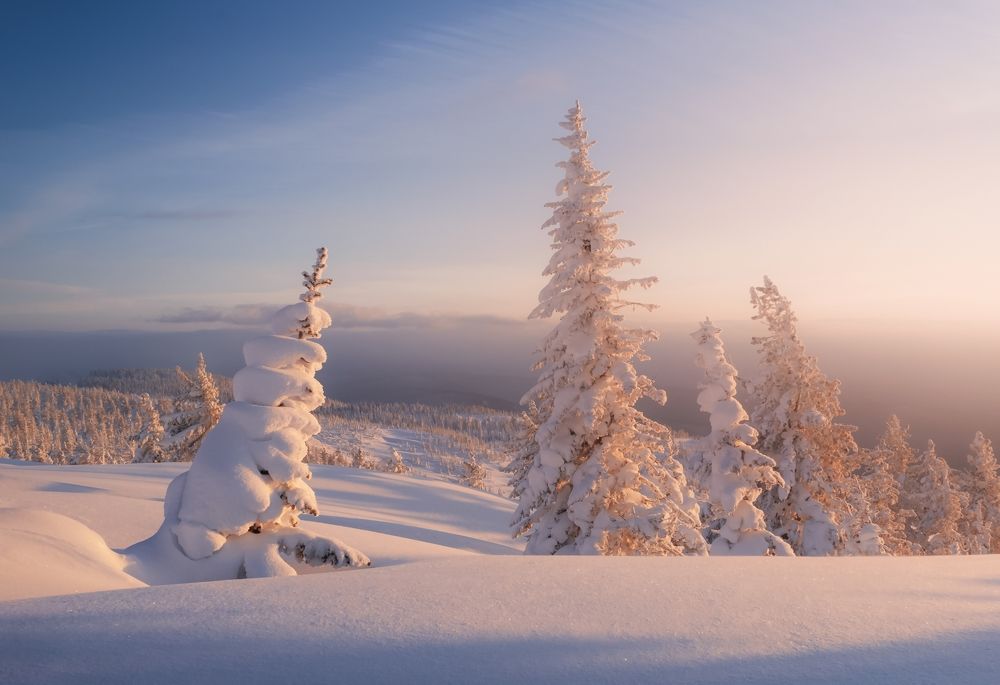 Где рождаются Снеговики