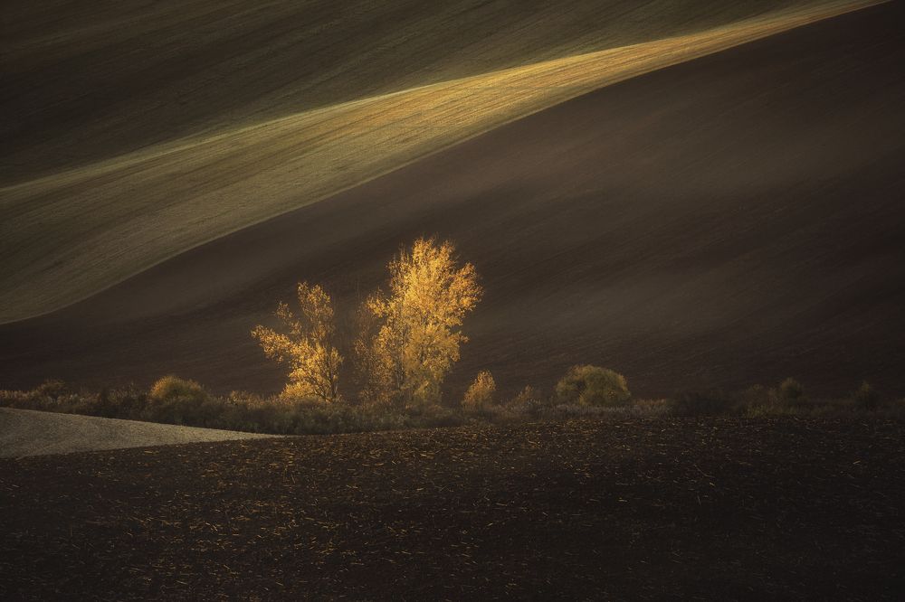 Photograph by Lara Iris