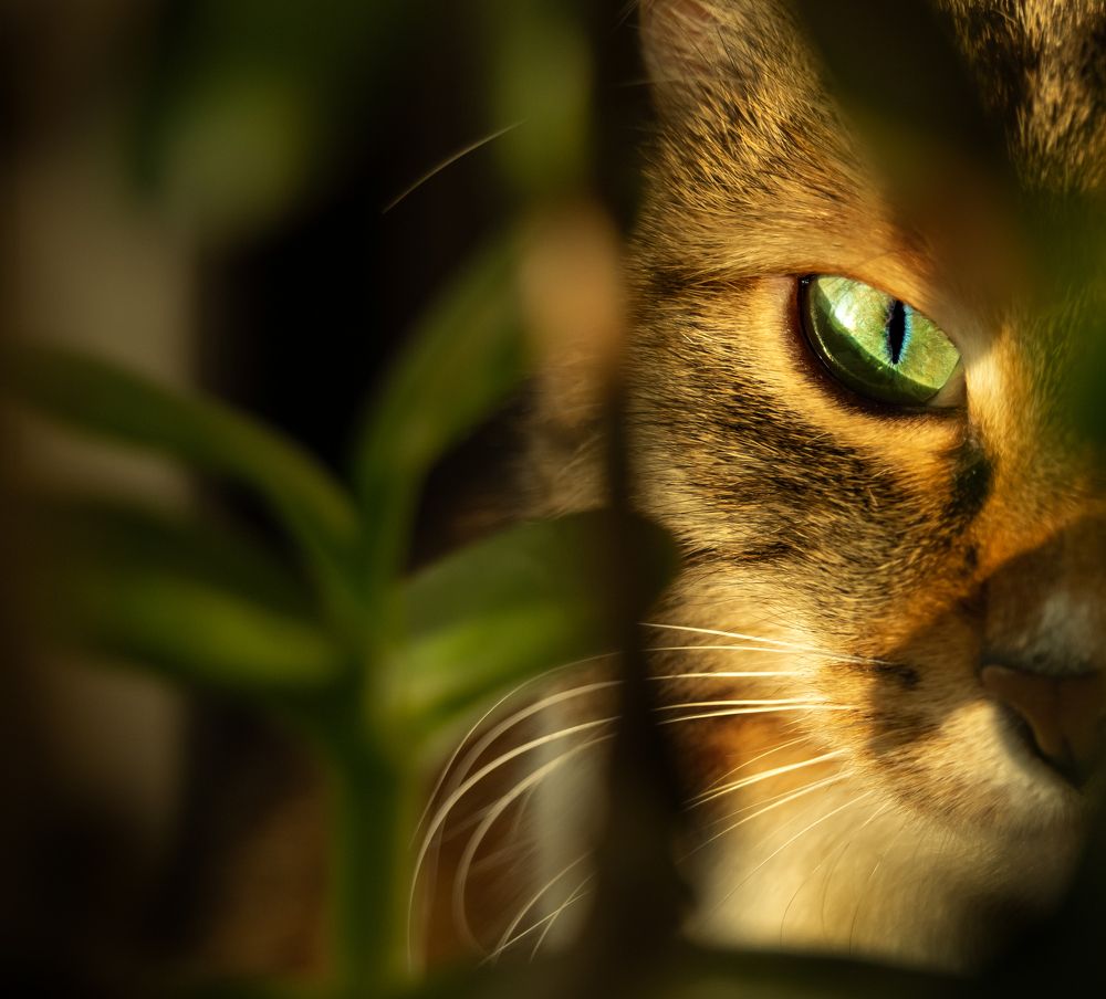 Photograph by Инна Жукова