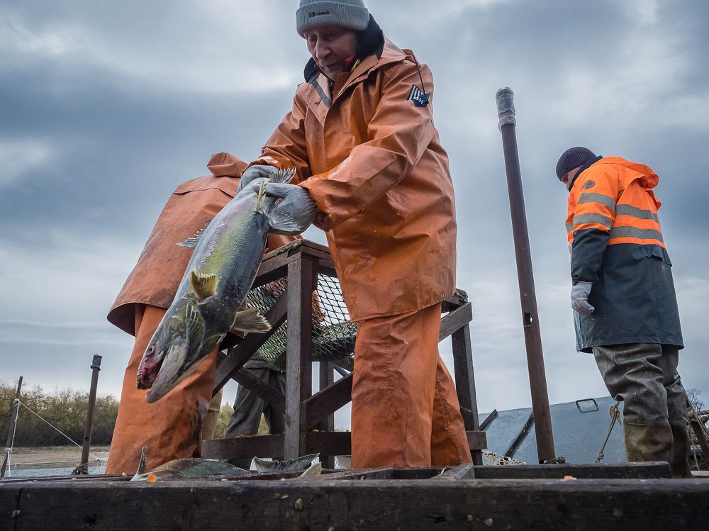 Photograph by Матвей Матвеев