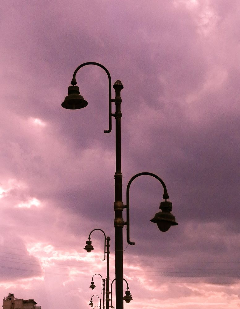 Photograph by Reem Abo eissa