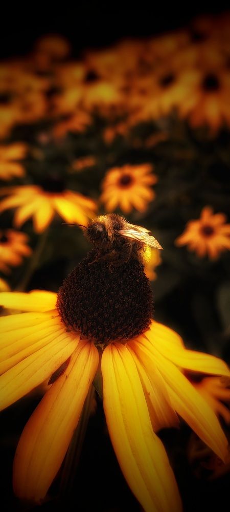 Photograph by Екатерина Цыбулькина