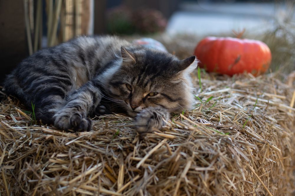 Photograph by Анастасия Трофимовская